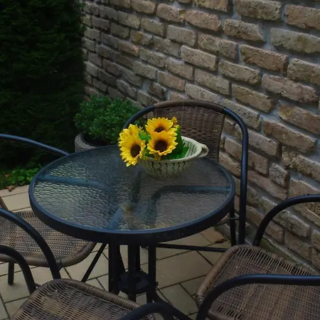 Apartament Megyeri *